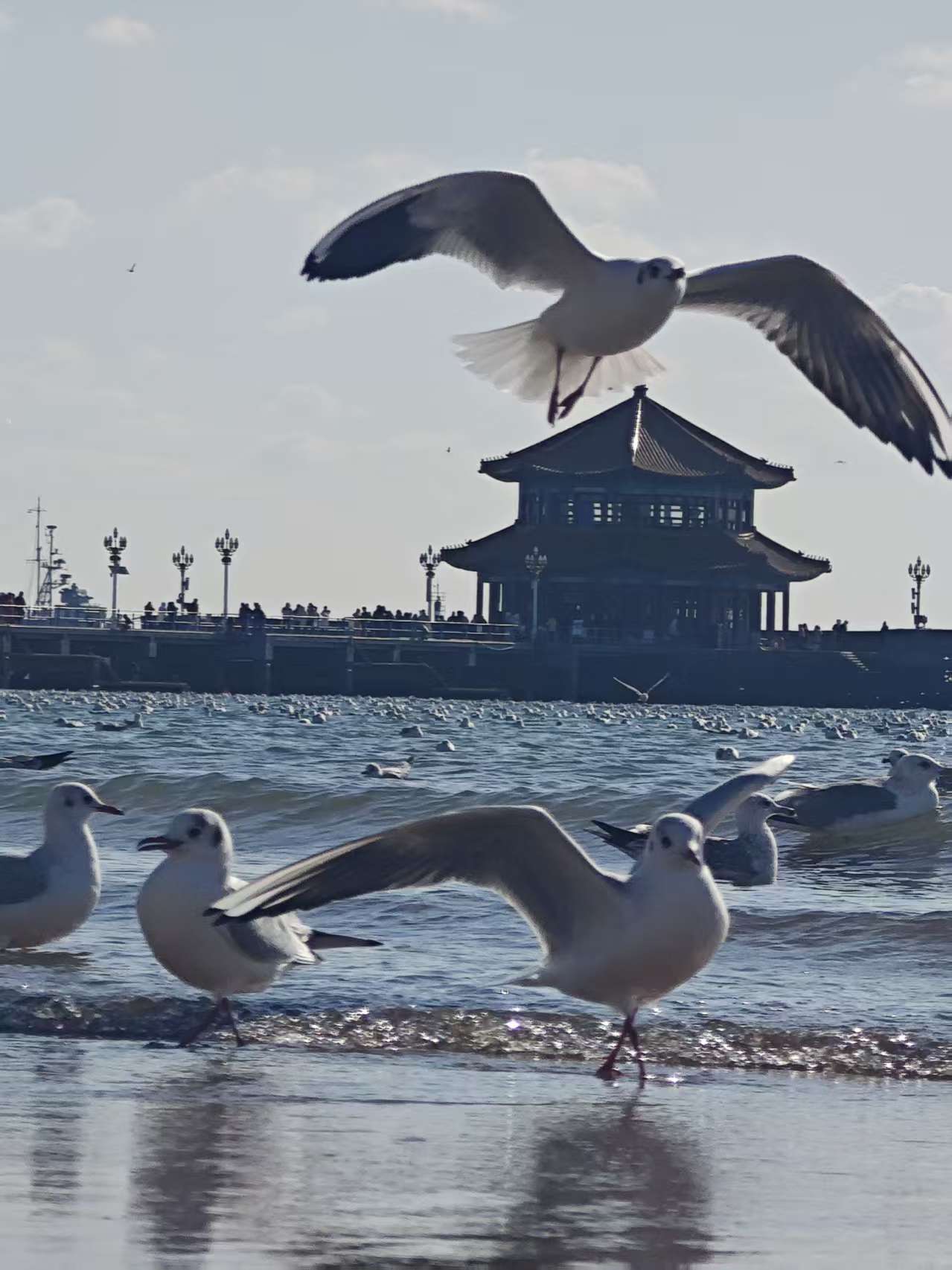 微信图片_20260123145754_532_232
