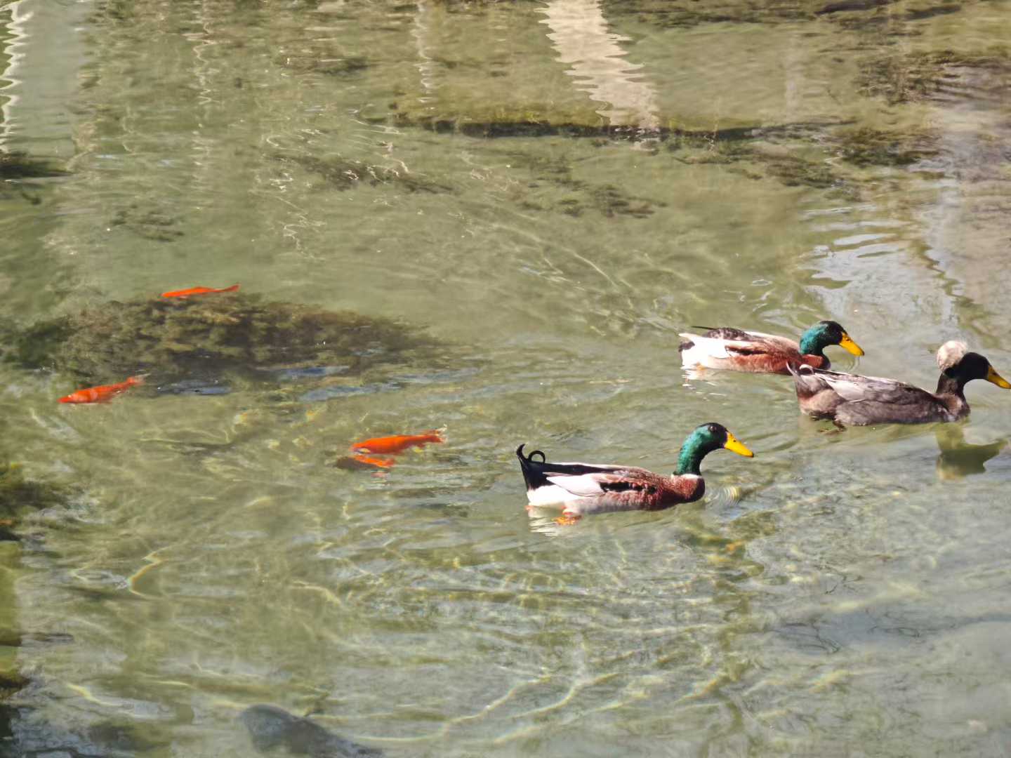 微信图片_2026-03-17_005421_802