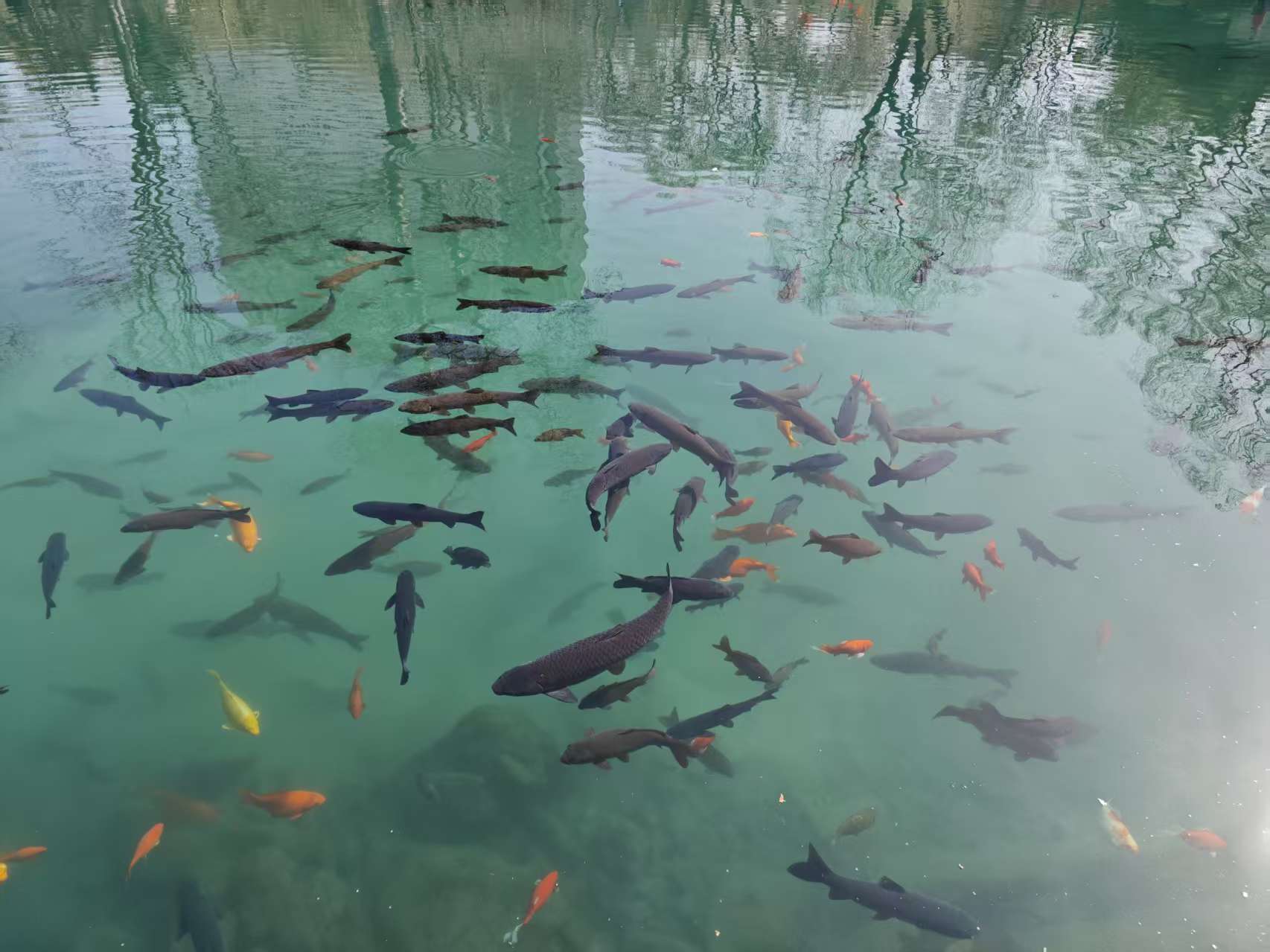 微信图片_20260317005854_366_204