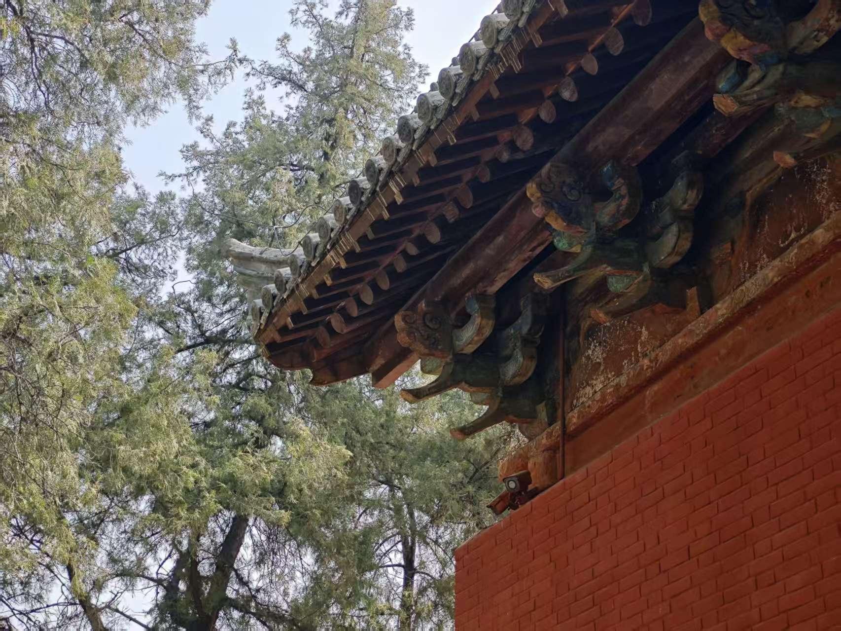 微信图片_20260317010545_368_204